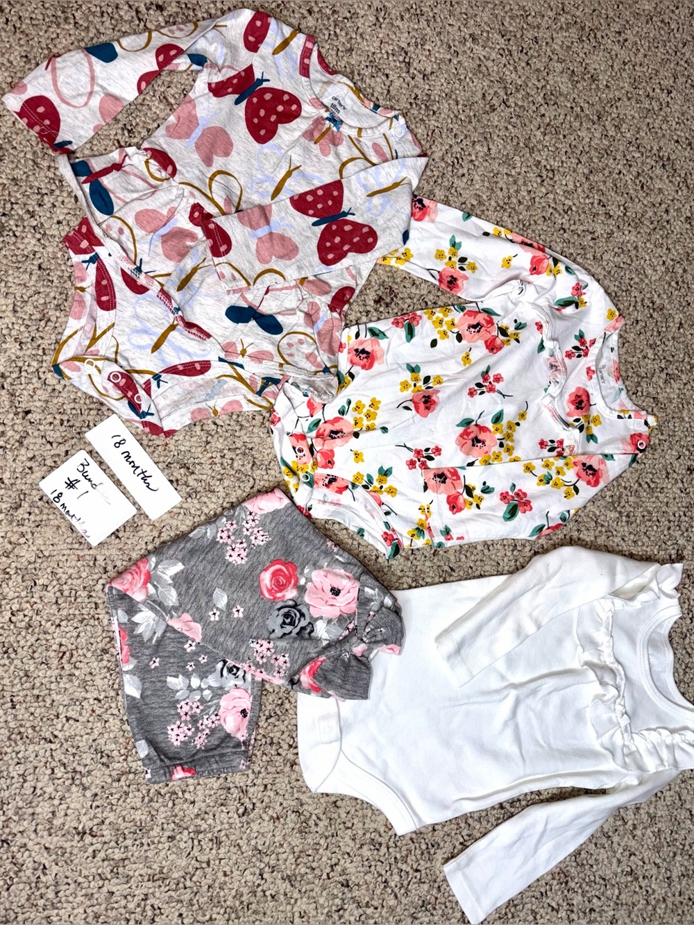 Bundle Carter’s Floral & Butterfly Baby Bodysuit Set - 18M